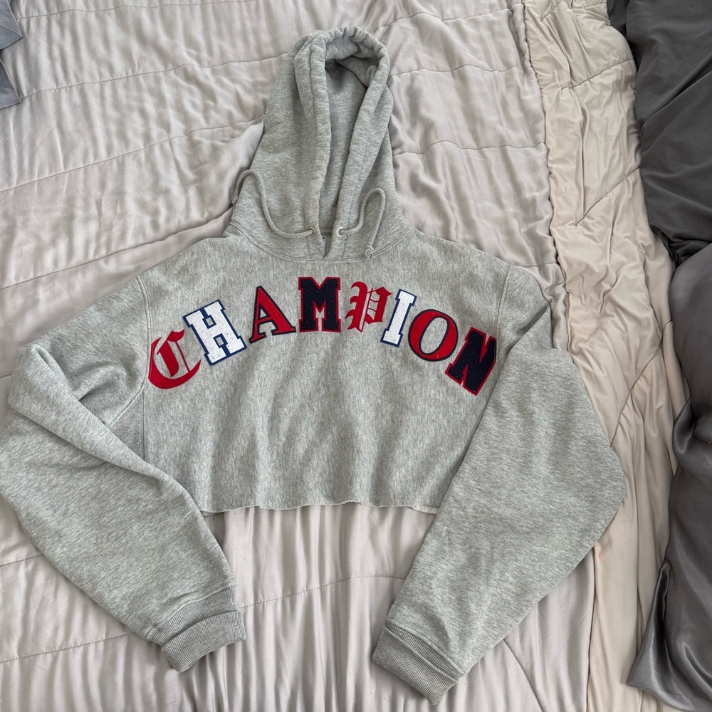 Champion Heather Gray Hoodie